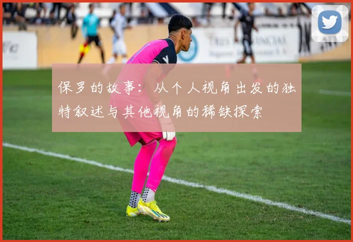 保罗的故事：从个人视角出发的独特叙述与其他视角的稀缺探索