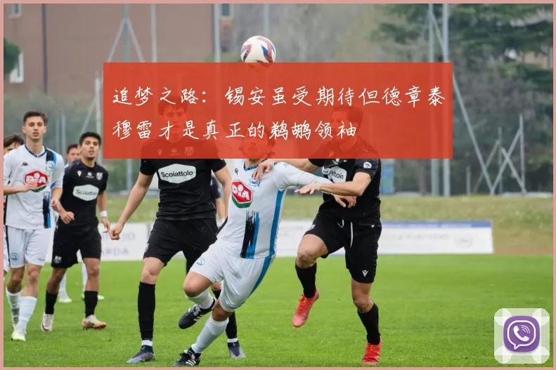 追梦之路：锡安虽受期待但德章泰穆雷才是真正的鹈鹕领袖